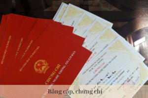 Tìm hiểu về chứng chỉ hành nghề thám tử tư ở Việt Nam