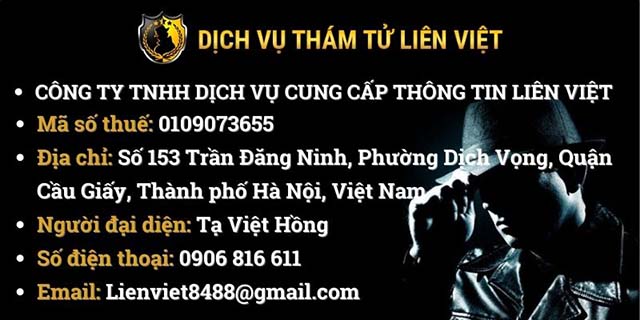 Công ty Thám tử Liên Việt