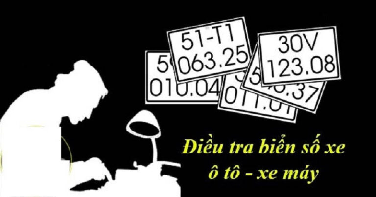 Điều tra biển số xe
