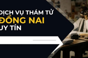 Dịch vụ thám tử Đồng Nai uy tín, bảo mật, điều tra nhanh