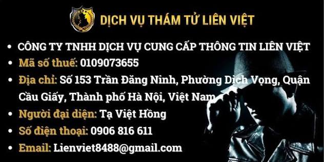 Công ty Thám tử Liên Việt