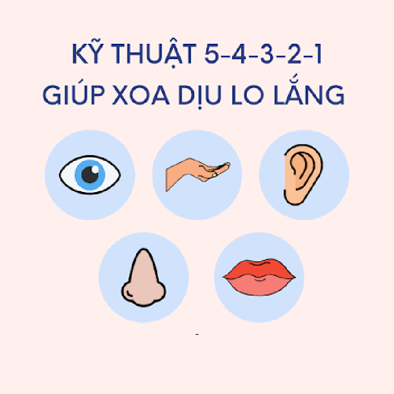 Ky-thuat-Tiep-dat-Grounding-bang-5-giac-quan
